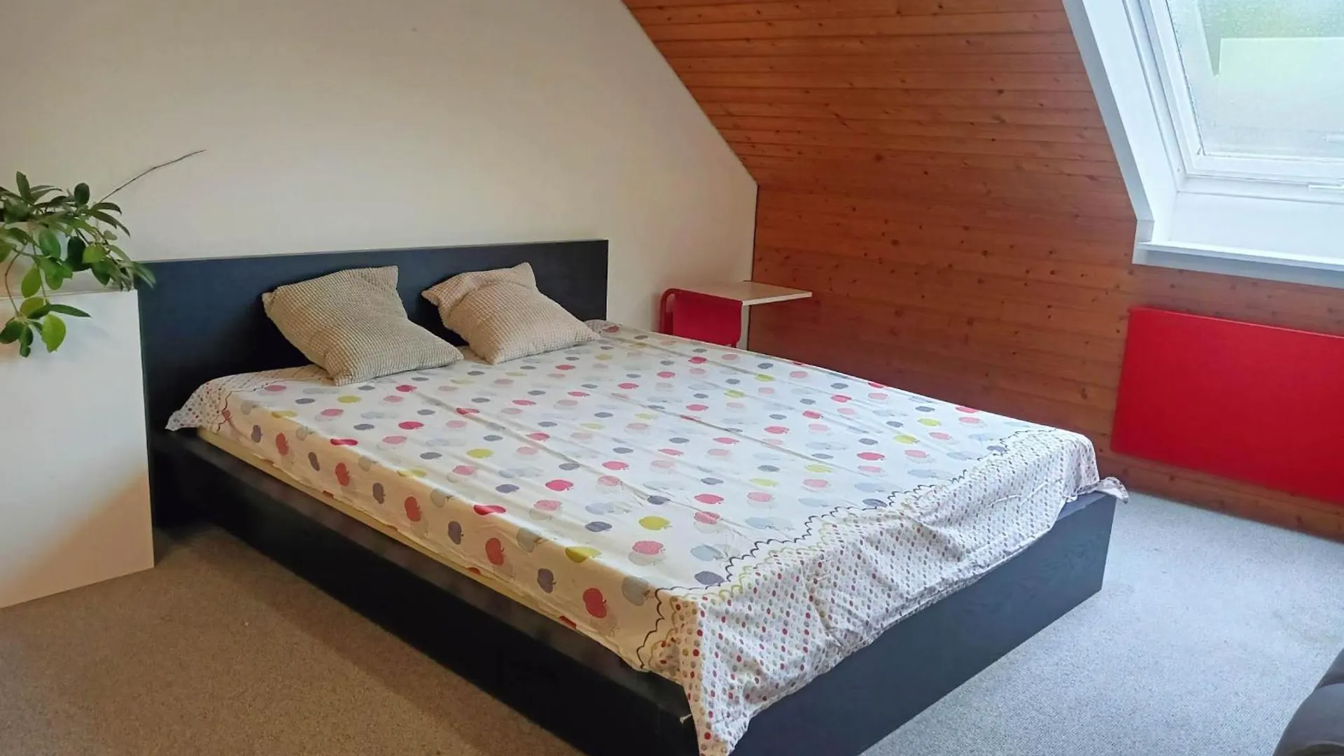 Big Cozy Entire Family Appartment Hanovre Allemagne